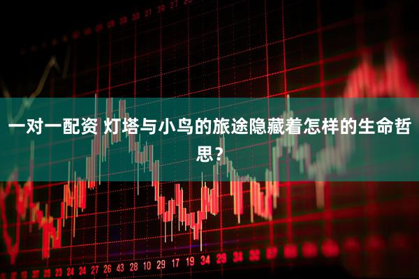 一对一配资 灯塔与小鸟的旅途隐藏着怎样的生命哲思？